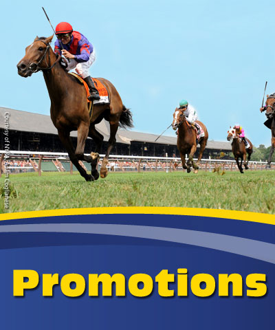 Promo Page Pic